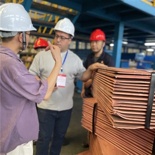 Els clients del Regne Unit visiten la fàbrica de coure lliure d'oxigen-de Mid...